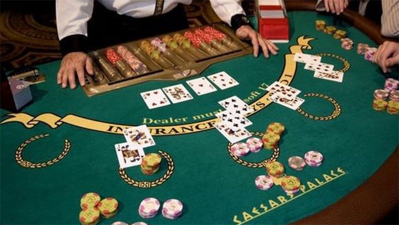 Trang web game đá gà cấp độ Kv99, chất lượng hàng đầu - Kv99