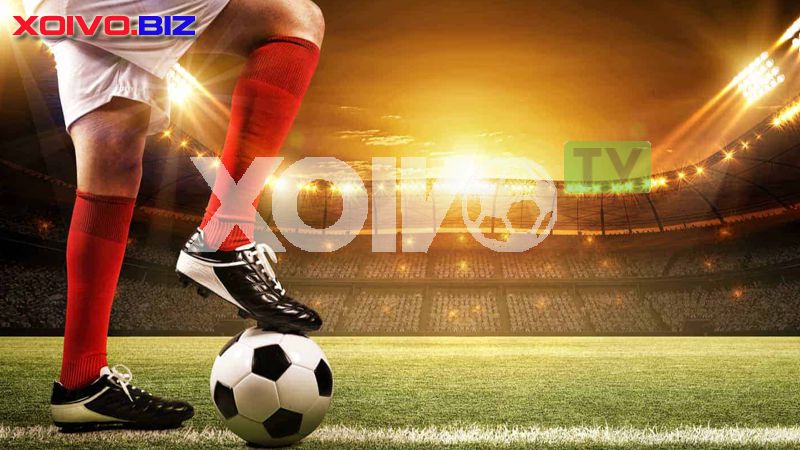 Chiến dịch quảng bá 266Bet bao gồm những gì? - 266Bet