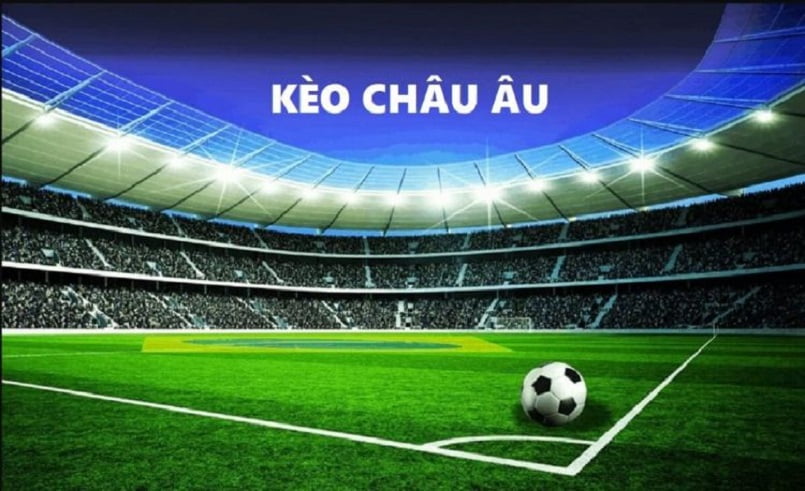 Dưới đây là một số mẹo thiết thực giúp bạn đặt cược hiệu quả vào Dd7 Club - Dd7