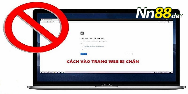 Ds99 không có mức cược tối thiểu và là trang web chơi game trực tuyến tốt nhất - Ds99