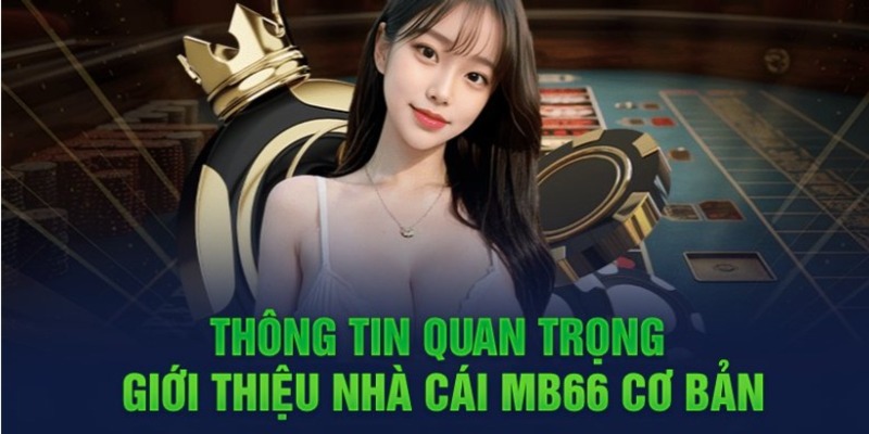 Fun88 đang đặt rất nhiều kỳ vọng vào World Cup 2026 - Fun88