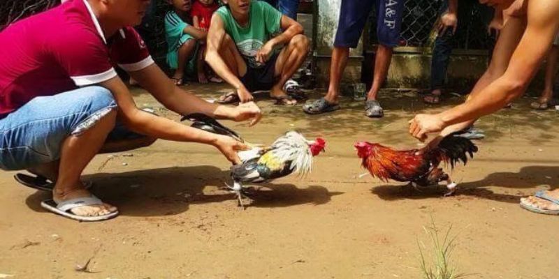 Tôi có thể liên hệ với 88T bằng cách nào? - 88T