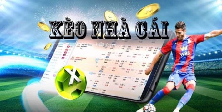 Tổng quan về các cầu thủ kỳ cựu cấp độ Do99 - Do99