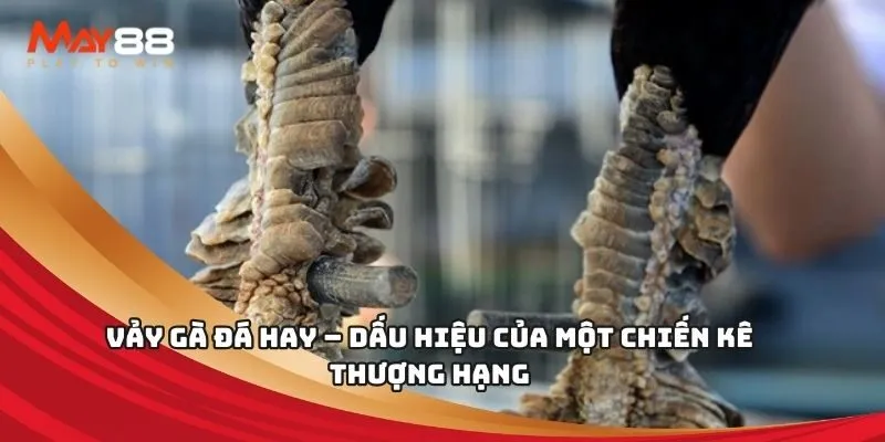 Hq88 cung cấp các chính sách khuyến mãi vô cùng hấp dẫn dành cho thành viên mới - Hq88