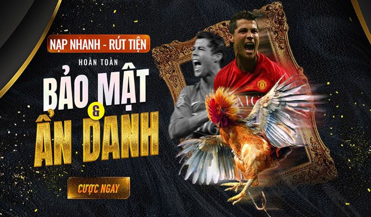 Giới thiệu về trang web chơi game trực tuyến cấp độ 1Xbet - 1Xbet