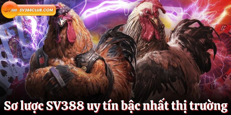 Hướng dẫn đăng ký 79King mới nhất - 79King