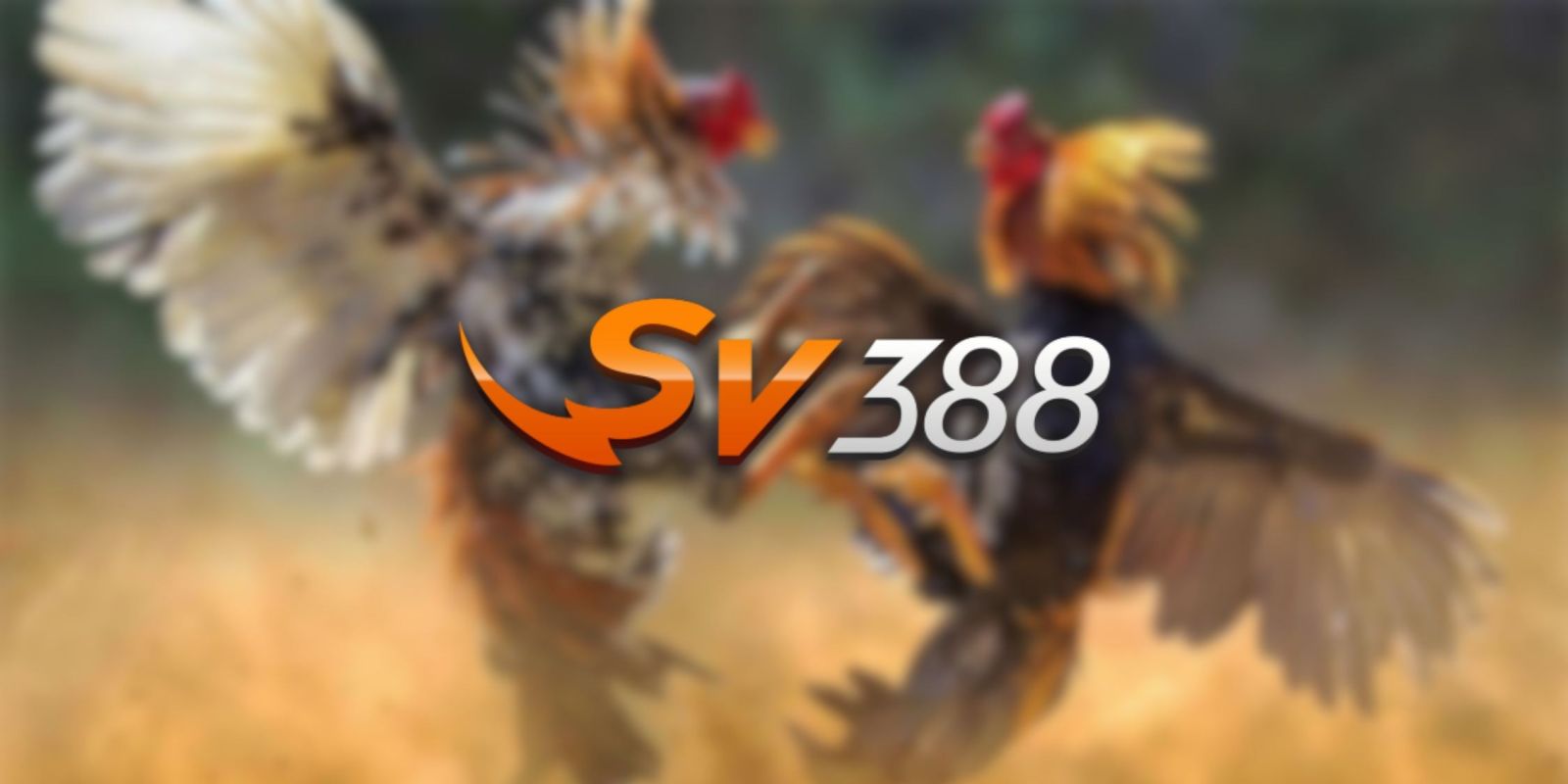 Các tính năng chính của trang web game 789Bet - 789Bet