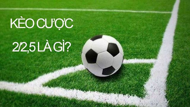 Cảnh báo! Natra88 là một trò lừa đảo, vui lòng không tham gia - Natra88