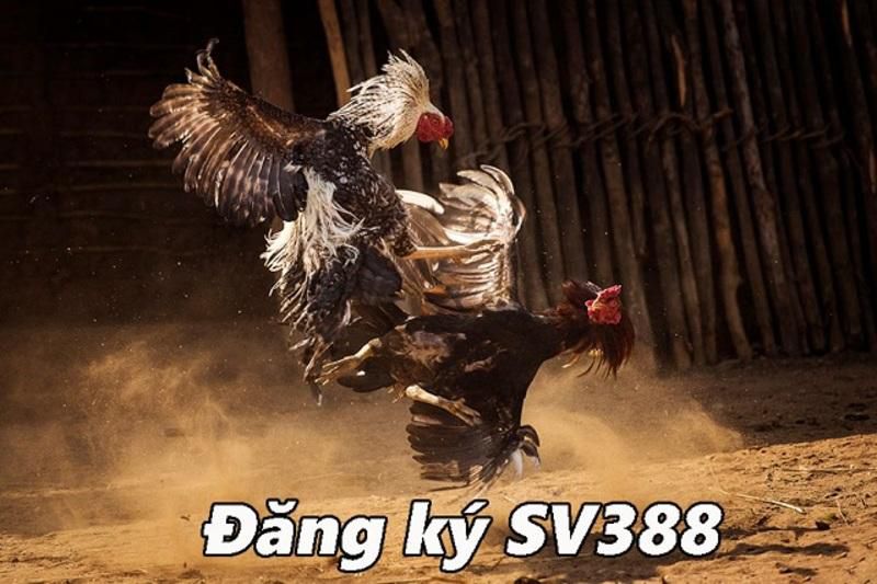 Việc mở tài khoản game cấp Jdb66 có dễ không? - Jdb66