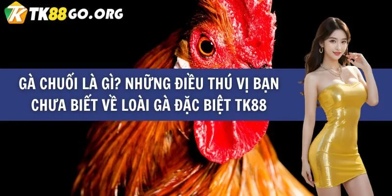 Các bước nạp tiền và đổi điểm cá cược tại Công ty 18Win Gaming - 18Win