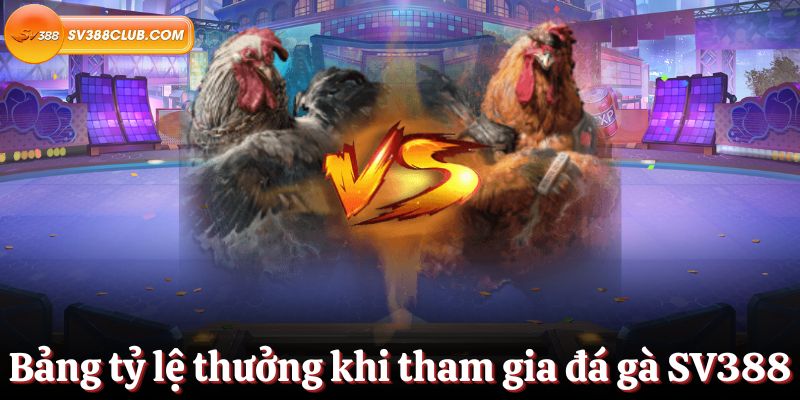 Dịch vụ chuyên nghiệp và tận tâm đạt chuẩn Rwin - Rwin